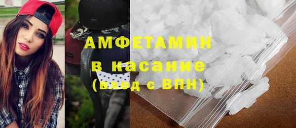 стаф Богданович