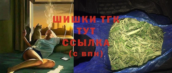 МДПВ Армянск