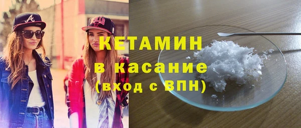 стаф Богданович