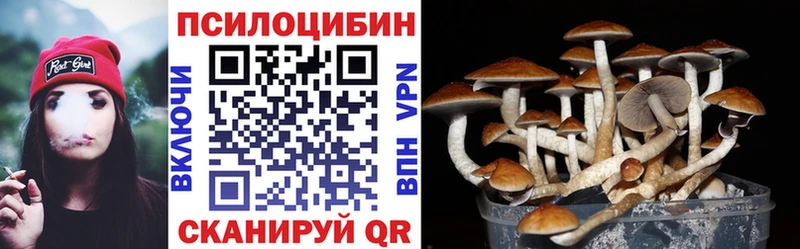 Галлюциногенные грибы мицелий  Кемерово 