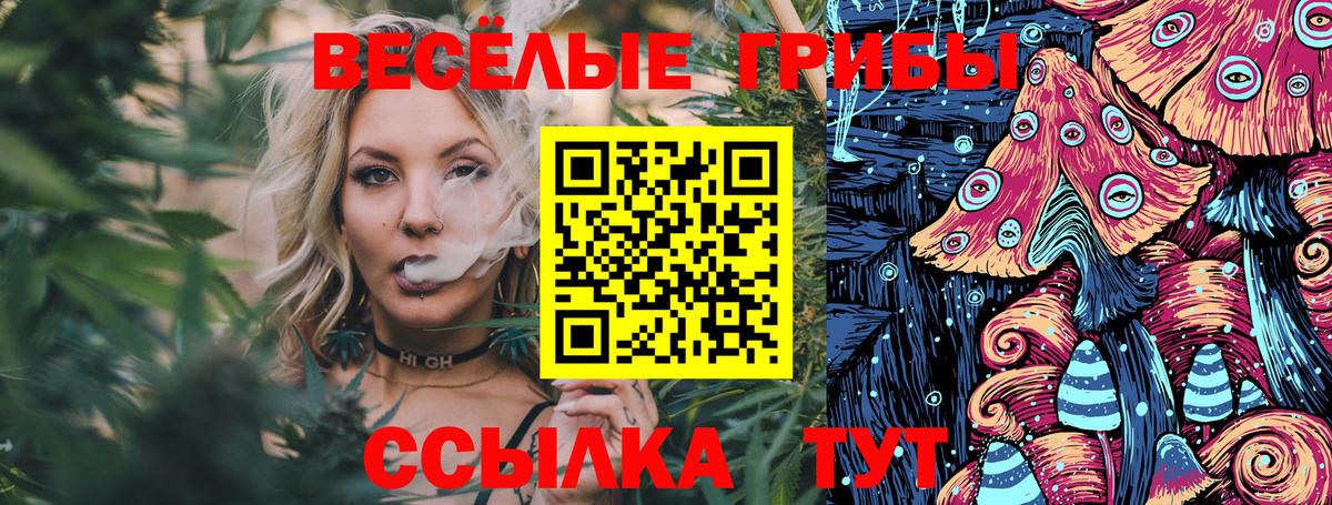 Псилоцибиновые грибы Psilocybine cubensis Кемерово