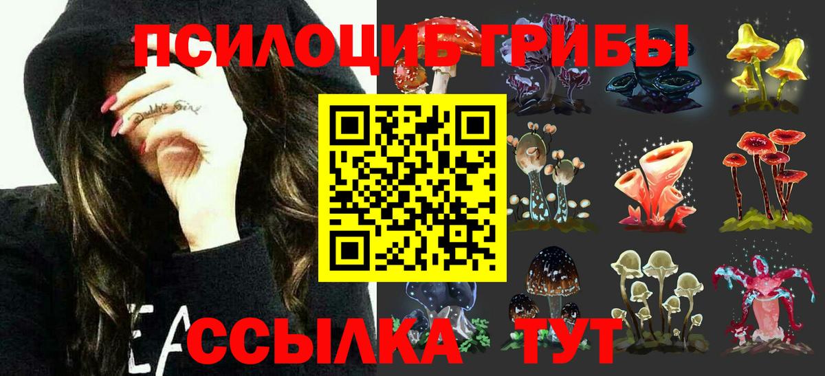 Кемерово  Псилоцибиновые грибы Psilocybe  Вход с VPN 