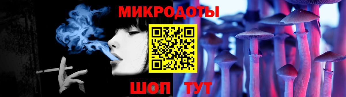 Галлюциногенные грибы Psilocybe Кемерово